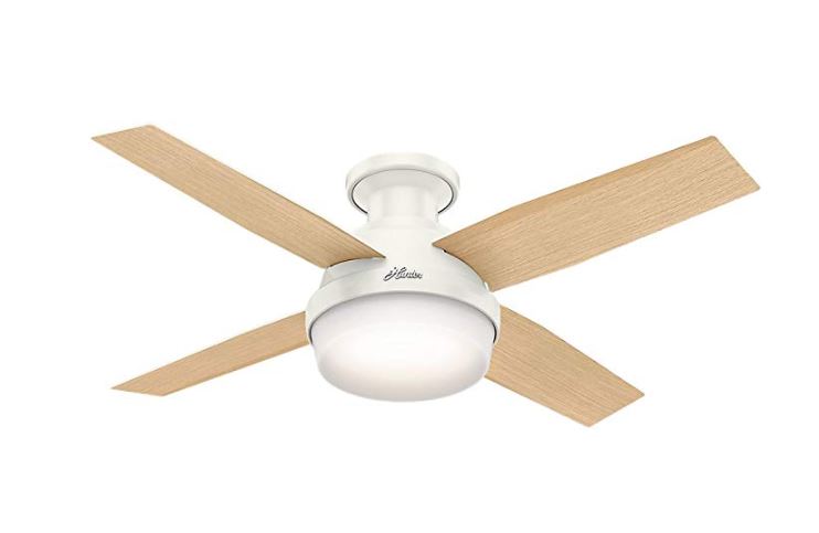 Hunter Indoor Ceiling Fan