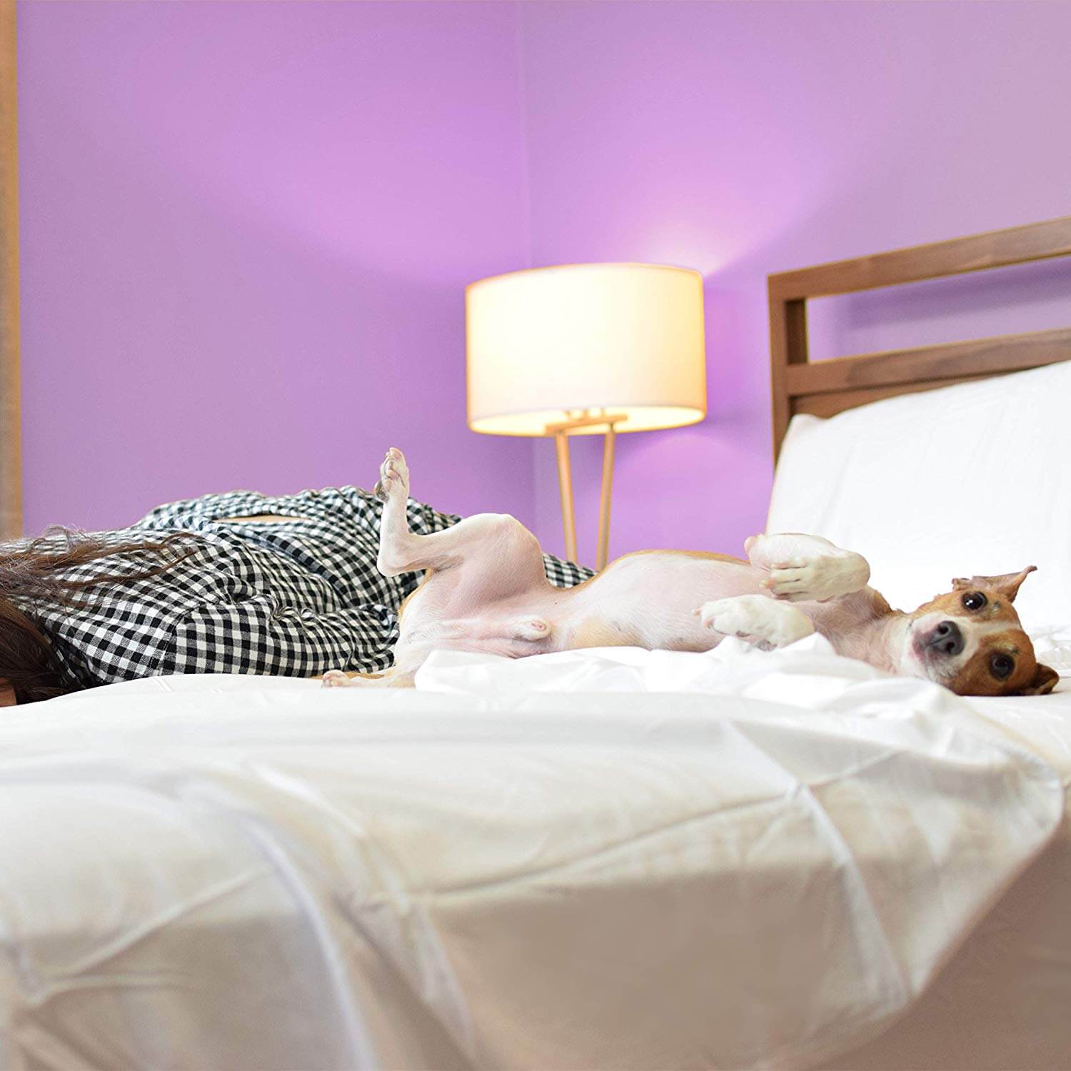 Sheets & Giggles Eucalyptus Lyocell Sheet Set. Compared with Cotton, Our Sheets are Softer, More Breathable, More Cooling, and Sustainable Too - No Sheet. Hypoallergenic, Deep Pockets, All Bed Sizes.