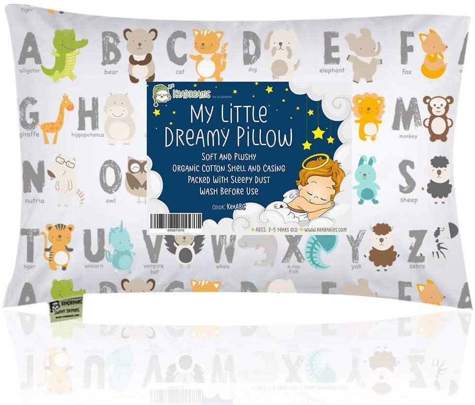 619B0u2tYwL. AC SL1000 1