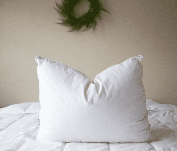 pillowtex reg 75 white duck feather 25 white duck down pillows 22
