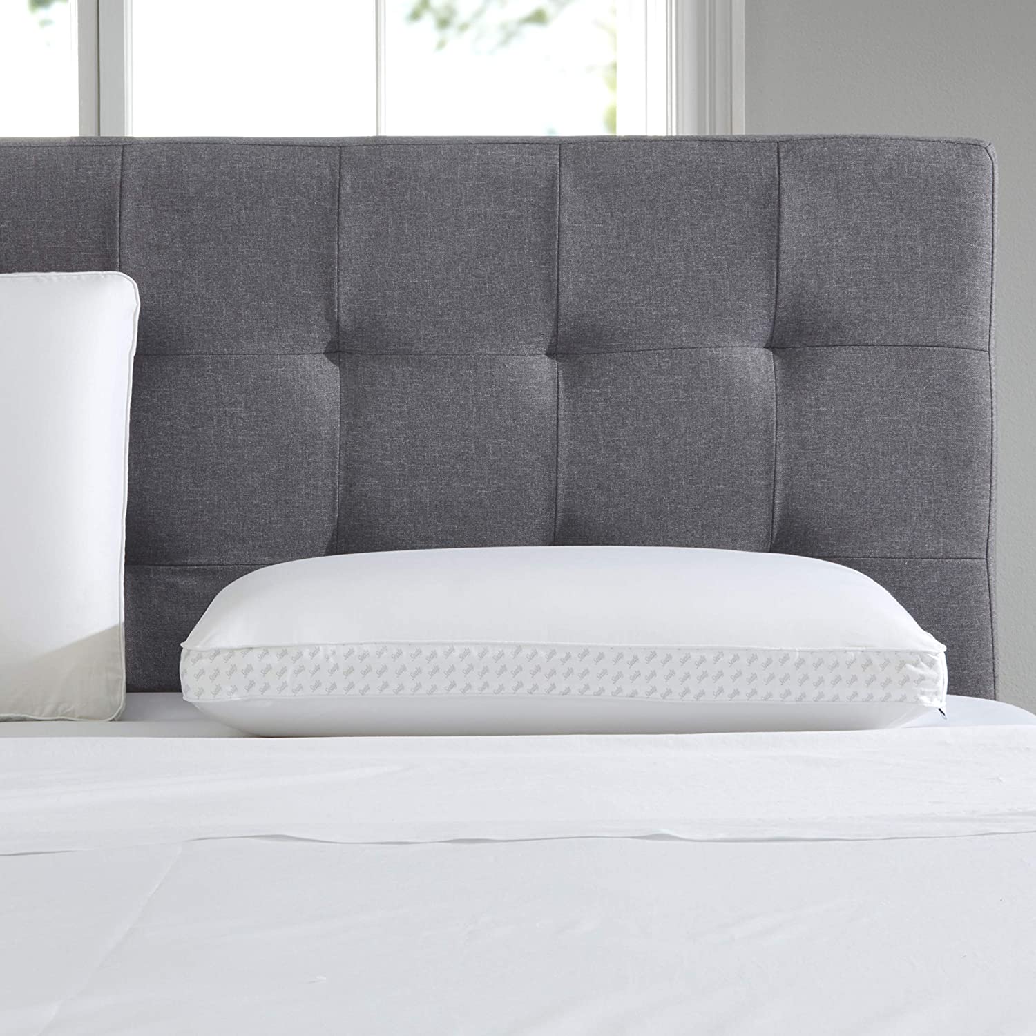 91sPEHoe1LL. AC SL1500