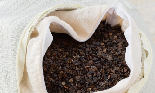 Buckwheat-Pillow Buckwheat-Pillow