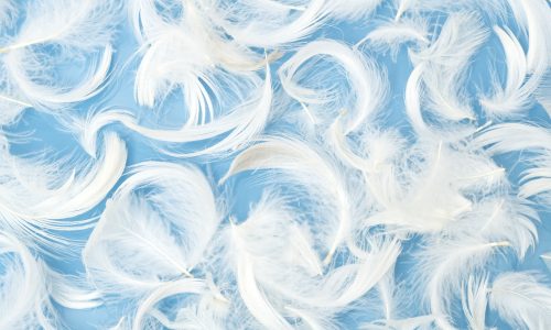 shutterstock_348097883 shutterstock_348097883